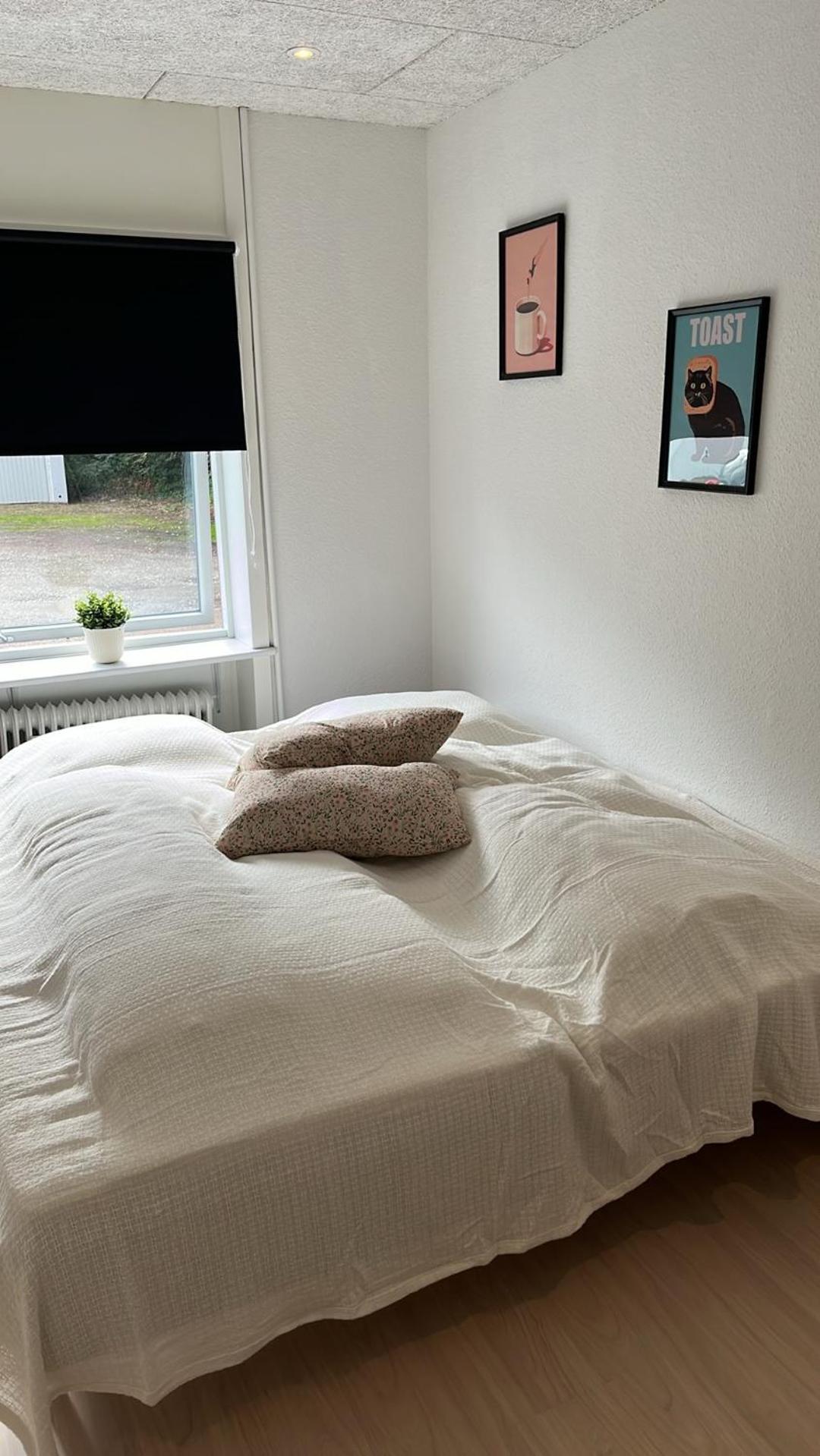 Billund Mini Hostel Room 10 - Taet Pa Legoland Og Lego House 외부 사진
